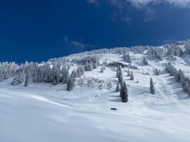 Peri masalı gibi soğuk kış atmosferi ve Schindlenberg Dağı 'ndaki karla kaplı kozalaklı ağaçlar Alpstein' in büyük kitlesi, Nesslau - Obertoggenburg bölgesi, İsviçre / Schweiz