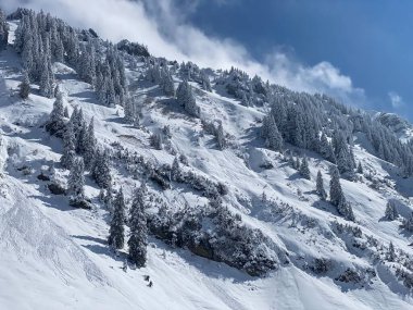 Peri masalı gibi soğuk kış atmosferi ve Schindlenberg Dağı 'ndaki karla kaplı kozalaklı ağaçlar Alpstein' in büyük kitlesi, Nesslau - Obertoggenburg bölgesi, İsviçre / Schweiz