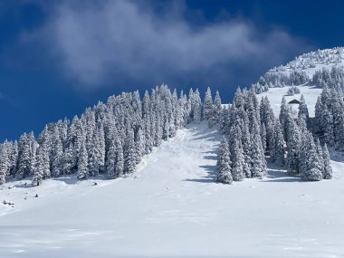 Peri masalı gibi soğuk kış atmosferi ve Schindlenberg Dağı 'ndaki karla kaplı kozalaklı ağaçlar Alpstein' in büyük kitlesi, Nesslau - Obertoggenburg bölgesi, İsviçre / Schweiz