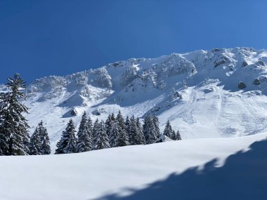 Neuenalpspitz (1817 m), Nesslau - Obertoggenburg bölgesi, İsviçre (Schweiz)