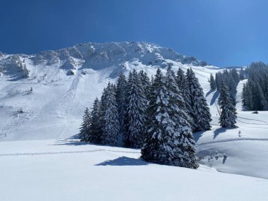 Neuenalpspitz (1817 m), Nesslau - Obertoggenburg bölgesi, İsviçre (Schweiz)