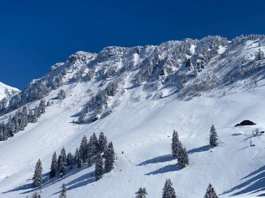 Neuenalpspitz (1817 m), Nesslau - Obertoggenburg bölgesi, İsviçre (Schweiz)