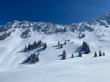 Neuenalpspitz (1817 m), Nesslau - Obertoggenburg bölgesi, İsviçre (Schweiz)