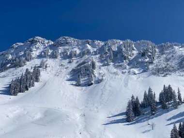 Neuenalpspitz (1817 m), Nesslau - Obertoggenburg bölgesi, İsviçre (Schweiz)