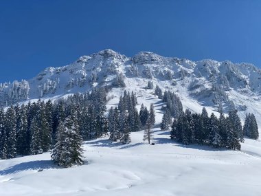 Neuenalpspitz (1817 m), Nesslau - Obertoggenburg bölgesi, İsviçre (Schweiz)