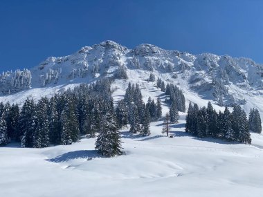 Neuenalpspitz (1817 m), Nesslau - Obertoggenburg bölgesi, İsviçre (Schweiz)