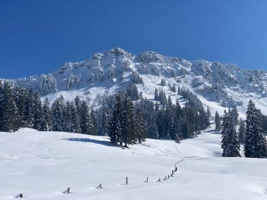 Neuenalpspitz (1817 m), Nesslau - Obertoggenburg bölgesi, İsviçre (Schweiz)