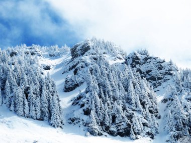 Neuenalpspitz (1817 m), Nesslau - Obertoggenburg bölgesi, İsviçre (Schweiz)