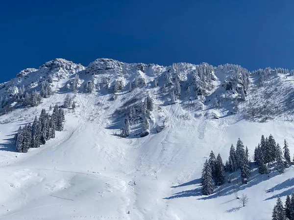Saga Alpin Vinter Atmosfär Och Snötäckta Barrträd Toppen Berget Neuenalpspitz — Stockfoto