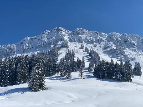 Neuenalpspitz (1817 m), Nesslau - Obertoggenburg bölgesi, İsviçre (Schweiz)
