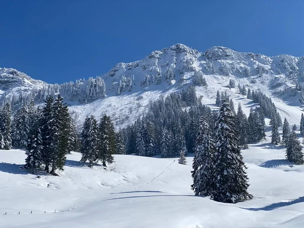 Neuenalpspitz (1817 m), Nesslau - Obertoggenburg bölgesi, İsviçre (Schweiz)