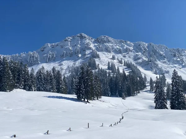 Neuenalpspitz (1817 m), Nesslau - Obertoggenburg bölgesi, İsviçre (Schweiz)
