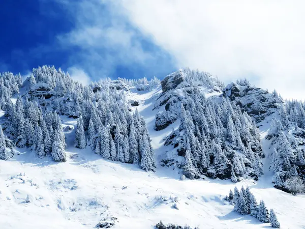 Märchenhafte Alpine Winterstimmung Und Schneebedeckte Nadelbäume Auf Dem Neuenalpspitz 1817 — Stockfoto