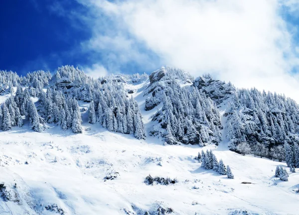 Märchenhafte Alpine Winterstimmung Und Schneebedeckte Nadelbäume Auf Dem Neuenalpspitz 1817 — Stockfoto