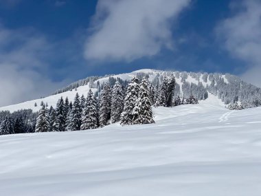 Peri masalı dağ atmosferi ve kar kaplı alp zirvesi Stockberg (1781 m) Alpstein dağ kütlesi, Nesslau - Obertoggenburg bölgesi, İsviçre (Schweiz)