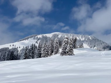 Peri masalı dağ atmosferi ve kar kaplı alp zirvesi Stockberg (1781 m) Alpstein dağ kütlesi, Nesslau - Obertoggenburg bölgesi, İsviçre (Schweiz)
