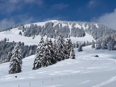 Peri masalı dağ atmosferi ve kar kaplı alp zirvesi Stockberg (1781 m) Alpstein dağ kütlesi, Nesslau - Obertoggenburg bölgesi, İsviçre (Schweiz)