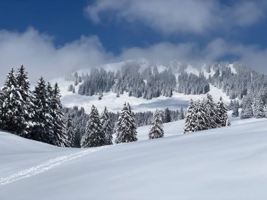 Peri masalı dağ atmosferi ve kar kaplı alp zirvesi Stockberg (1781 m) Alpstein dağ kütlesi, Nesslau - Obertoggenburg bölgesi, İsviçre (Schweiz)