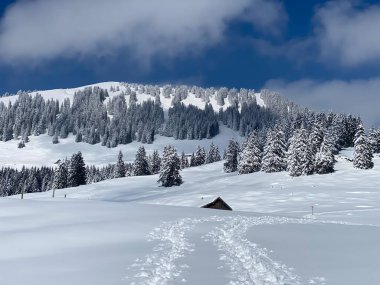 Peri masalı dağ atmosferi ve kar kaplı alp zirvesi Stockberg (1781 m) Alpstein dağ kütlesi, Nesslau - Obertoggenburg bölgesi, İsviçre (Schweiz)