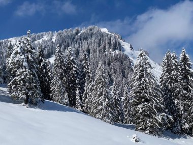 Peri masalı dağ atmosferi ve kar kaplı alp zirvesi Stockberg (1781 m) Alpstein dağ kütlesi, Nesslau - Obertoggenburg bölgesi, İsviçre (Schweiz)