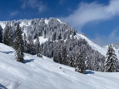 Peri masalı dağ atmosferi ve kar kaplı alp zirvesi Stockberg (1781 m) Alpstein dağ kütlesi, Nesslau - Obertoggenburg bölgesi, İsviçre (Schweiz)