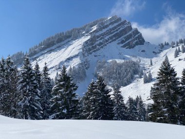 Peri masalı dağ atmosferi ve kar kaplı alp zirvesi Stockberg (1781 m) Alpstein dağ kütlesi, Nesslau - Obertoggenburg bölgesi, İsviçre (Schweiz)