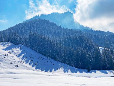 Peri masalı dağ atmosferi ve kar kaplı alp zirvesi Stockberg (1781 m) Alpstein dağ kütlesi, Nesslau - Obertoggenburg bölgesi, İsviçre (Schweiz)