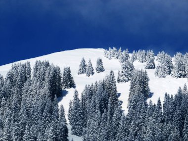Peri masalı dağ atmosferi ve kar kaplı alp zirvesi Stockberg (1781 m) Alpstein dağ kütlesi, Nesslau - Obertoggenburg bölgesi, İsviçre (Schweiz)