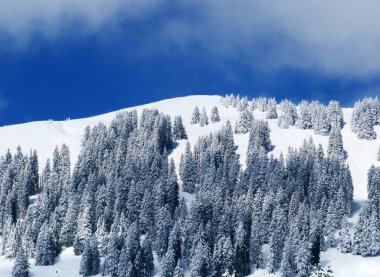 Peri masalı dağ atmosferi ve kar kaplı alp zirvesi Stockberg (1781 m) Alpstein dağ kütlesi, Nesslau - Obertoggenburg bölgesi, İsviçre (Schweiz)