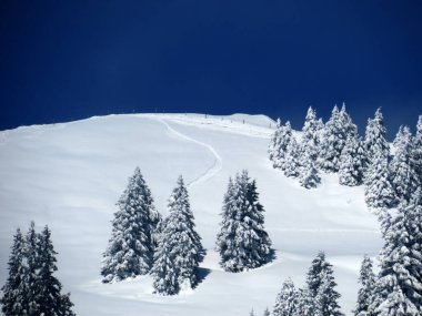 Peri masalı dağ atmosferi ve kar kaplı alp zirvesi Stockberg (1781 m) Alpstein dağ kütlesi, Nesslau - Obertoggenburg bölgesi, İsviçre (Schweiz)