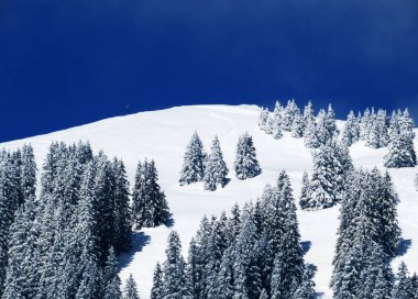 Peri masalı dağ atmosferi ve kar kaplı alp zirvesi Stockberg (1781 m) Alpstein dağ kütlesi, Nesslau - Obertoggenburg bölgesi, İsviçre (Schweiz)