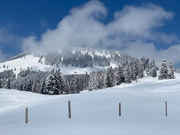 Fairytale Alpine Winter Atmosphere Snow Capped Alpine Peak Stockberg 1781 — Stockfoto