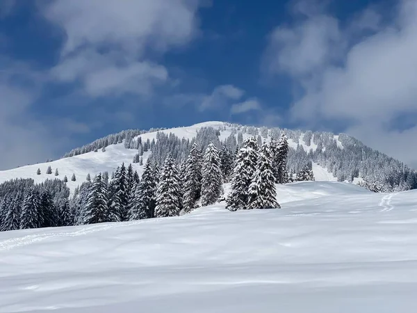 Atmósfera Invernal Alpina Cuento Hadas Pico Alpino Nevado Stockberg 1781 —  Fotos de Stock