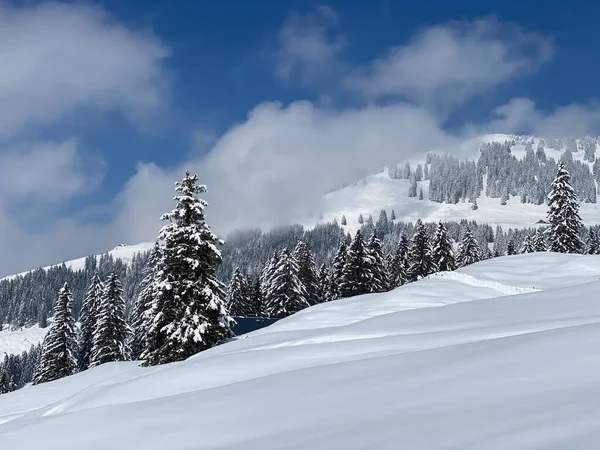 Peri masalı dağ atmosferi ve kar kaplı alp zirvesi Stockberg (1781 m) Alpstein dağ kütlesi, Nesslau - Obertoggenburg bölgesi, İsviçre (Schweiz)
