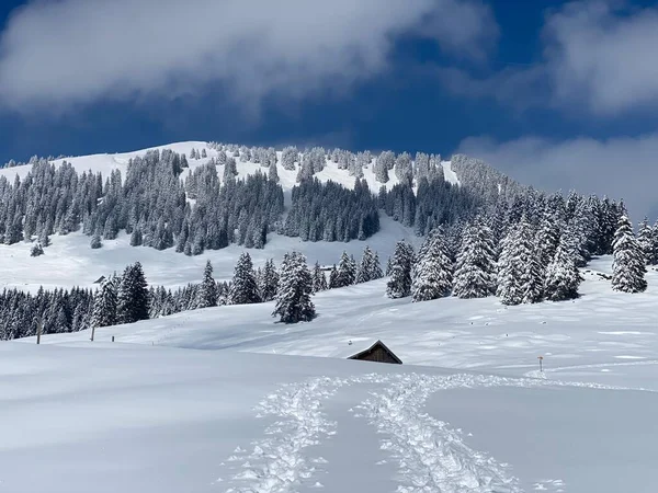 Märchenhafte Alpine Winteratmosphäre Und Schneebedeckter Stockberg 1781 Alpsteinmassiv Nesslau Obertoggenburg — Stockfoto