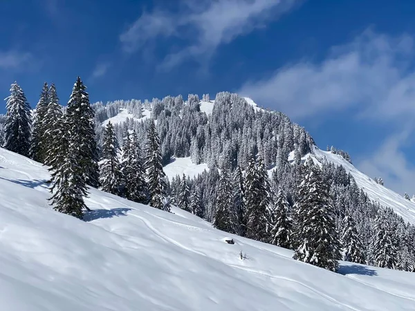 Sagoseriös Alpin Vinterstämning Och Snötäckt Alpin Topp Stockberg 1781 Fjällmassivet — Stockfoto