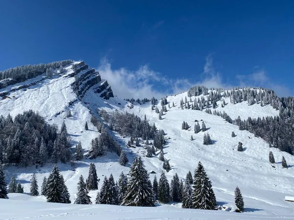 Казкова Альпійська Зимова Атмосфера Сніговий Пік Stockberg 1781 Гірському Масиві — стокове фото