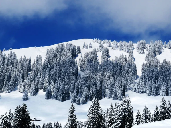瑞士内斯劳 奥伯托根堡地区Alpstein山地地块的Fairytale高山冬季大气和白雪覆盖高山峰Stockberg 1781米 — 图库照片