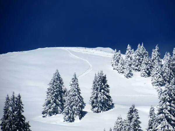 瑞士内斯劳 奥伯托根堡地区Alpstein山地地块的Fairytale高山冬季大气和白雪覆盖高山峰Stockberg 1781米 — 图库照片