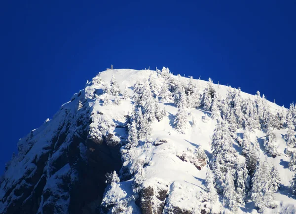 Märchenhafte Alpine Winteratmosphäre Und Schneebedeckter Stockberg 1781 Alpsteinmassiv Nesslau Obertoggenburg — Stockfoto