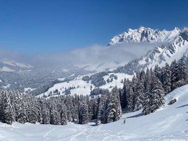 Alpstein dağlarında ve Appenzell Alpleri 'nde kar tepeli alp zirvesi Santis (veya Saentis, 2502 m), Alt St. Johann - St. Gallen Kantonu, İsviçre / Schweiz