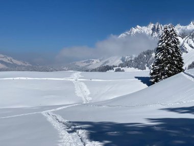 Alpstein dağlarında ve Appenzell Alpleri 'nde kar tepeli alp zirvesi Santis (veya Saentis, 2502 m), Alt St. Johann - St. Gallen Kantonu, İsviçre / Schweiz
