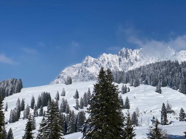 Alpstein dağlarında ve Appenzell Alpleri 'nde kar tepeli alp zirvesi Santis (veya Saentis, 2502 m), Alt St. Johann - St. Gallen Kantonu, İsviçre / Schweiz