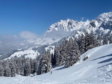 Alpstein dağlarında ve Appenzell Alpleri 'nde kar tepeli alp zirvesi Santis (veya Saentis, 2502 m), Alt St. Johann - St. Gallen Kantonu, İsviçre / Schweiz