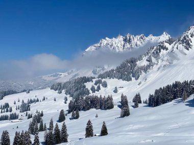 Alpstein dağlarında ve Appenzell Alpleri 'nde kar tepeli alp zirvesi Santis (veya Saentis, 2502 m), Alt St. Johann - St. Gallen Kantonu, İsviçre / Schweiz