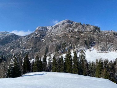 Karla kaplı kozalaklı ağaçlar ve dağ tepesindeki kaya kayalıkları (1531 m), Nesslau - Obertoggenburg bölgesi, İsviçre (Schweiz)