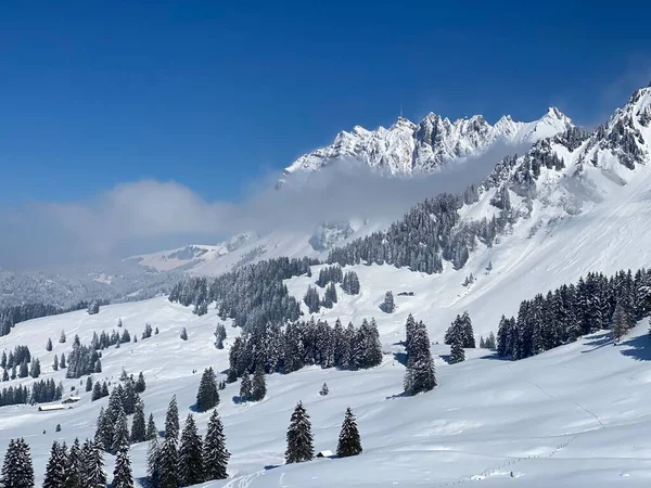 Snötäckta Alpina Toppar Santis Eller Saentis 2502 Alpsteins Bergskedja Och — Stockfoto