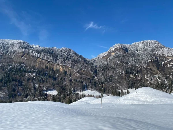 Fairytale Alpine Winter Atmosphere Snow Covered Coniferous Trees Stone Cliffs — Zdjęcie stockowe