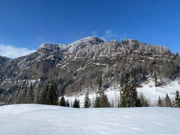 Märchenhafte Alpine Winterstimmung Mit Schneebedeckten Nadelbäumen Und Steinklippen Auf Dem — Stockfoto