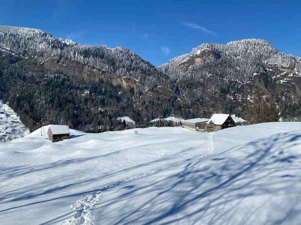 Conte Fées Atmosphère Hivernale Alpine Avec Des Conifères Enneigés Des — Photo
